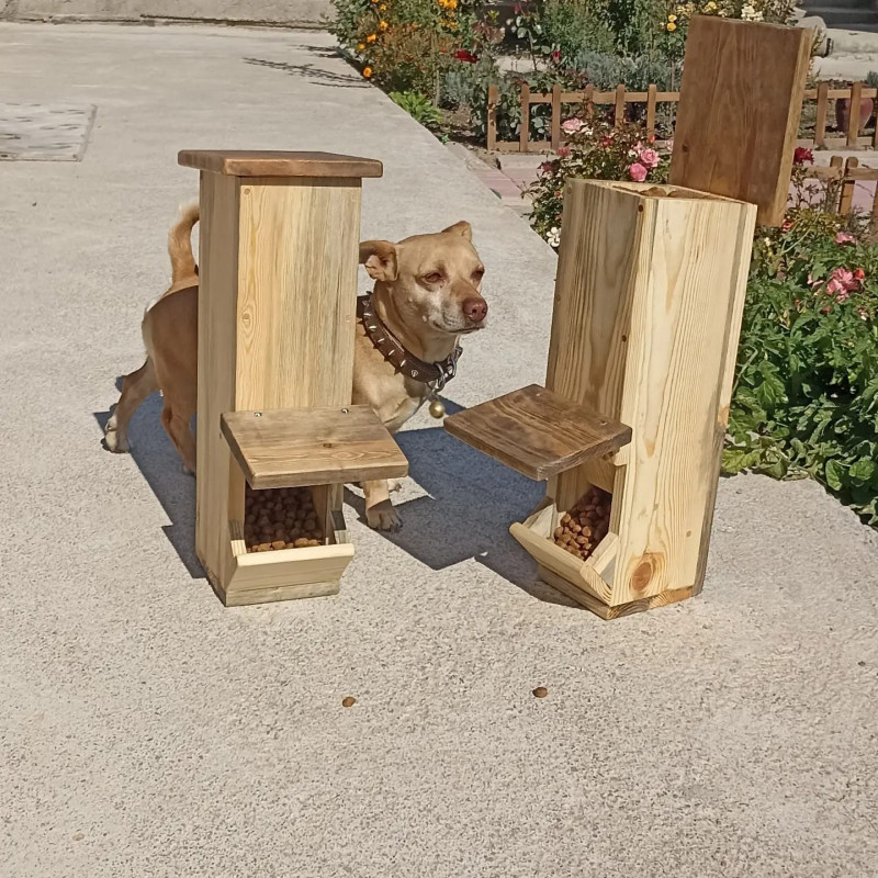 Kedi, Köpek MAMA standı