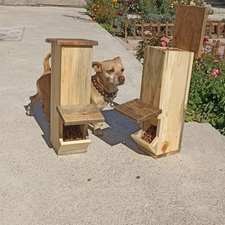 Kedi, Köpek MAMA standı